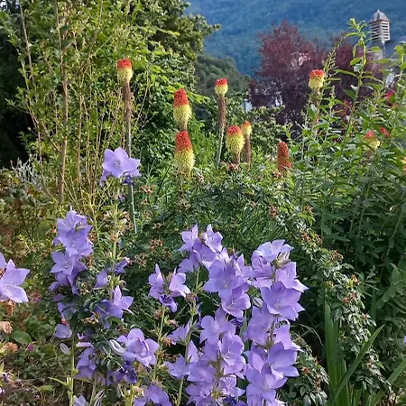 アパート Du Doumet - Luz Centre - Parking Et Garage Individuel Ferme - Draps Et Serviettes Inclus *