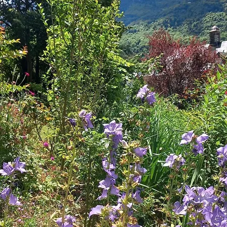Du Doumet - Luz Centre - Parking Et Garage Individuel Ferme - Draps Et Serviettes Inclus アパート