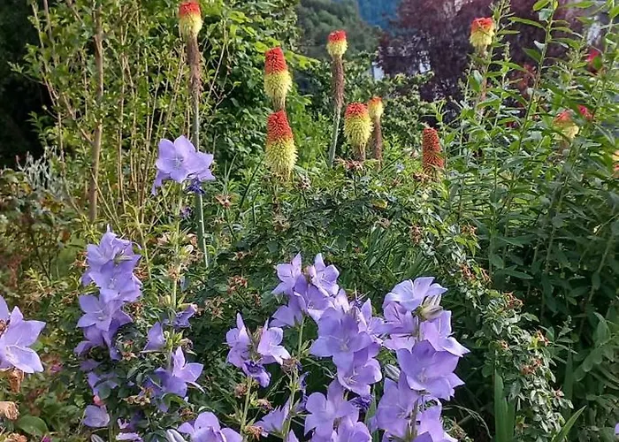 Апартаменты Du Doumet - Luz Centre - Parking Et Garage Individuel Ferme - Draps Et Serviettes Inclus *